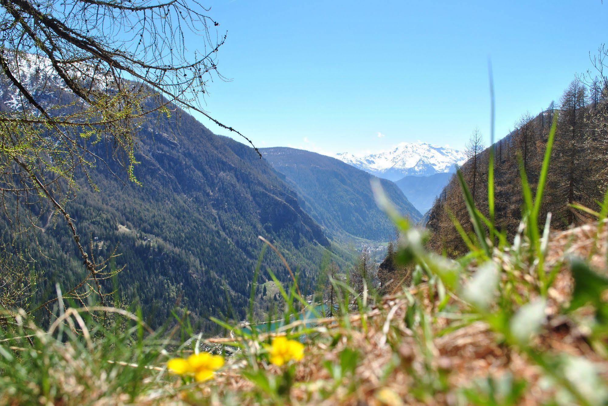 Millefiori- Alpine Event Hotel