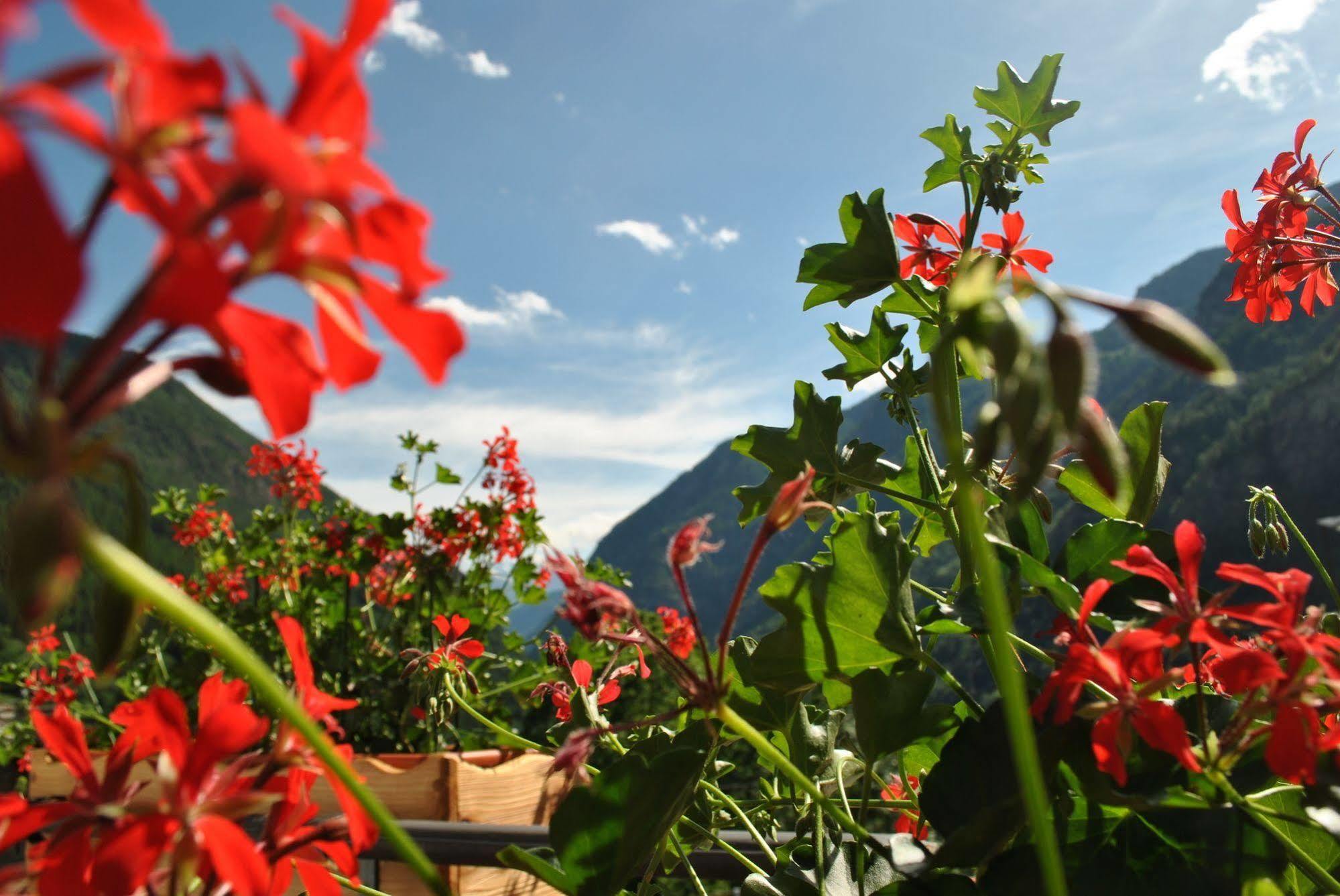 Millefiori- Alpine Event Hotel